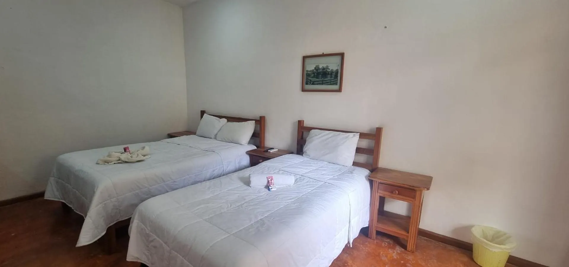 Hotel Iker 图卢姆